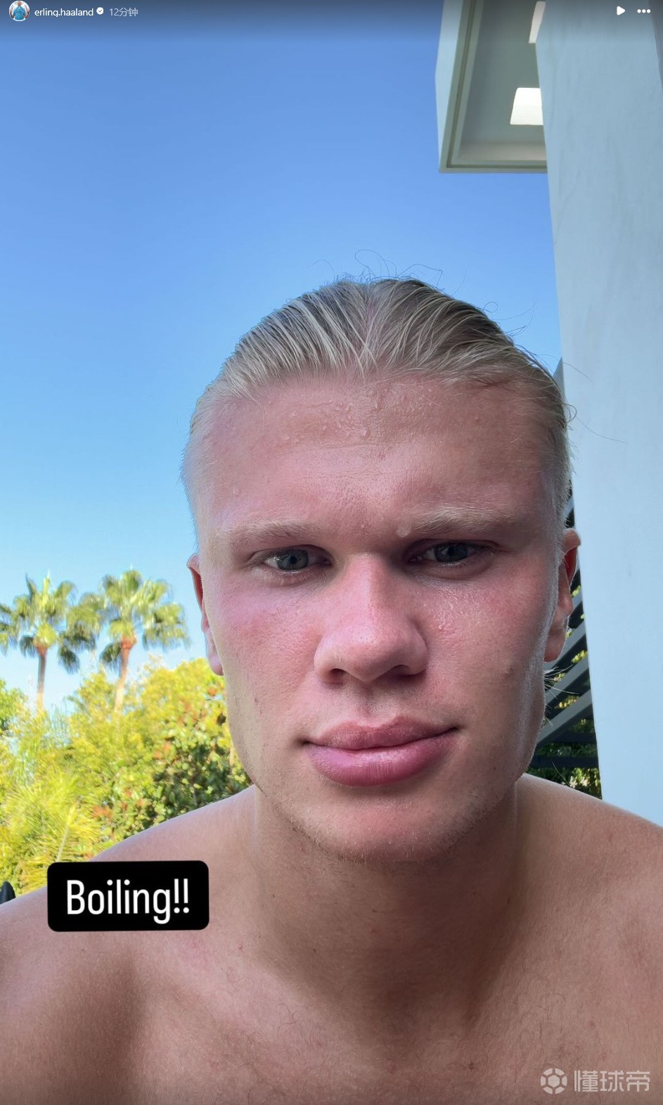 关于哈兰德回归赛场,战术调整首场状态亮眼,美国队观众沸腾!的信息 关于哈兰德回归赛场,战术调整首场状态亮眼,美国队观众沸腾!的信息